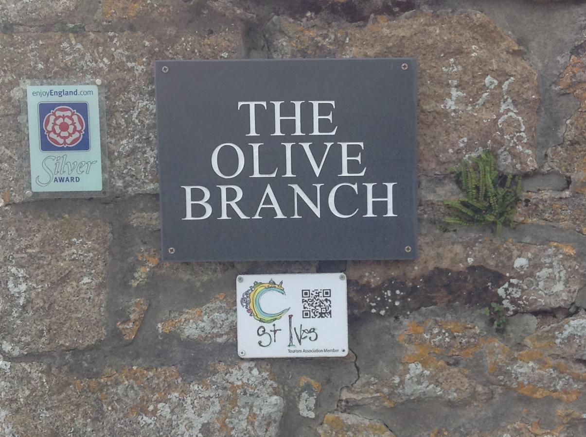 The Olive Branch Bed & Breakfast St Ives Dış mekan fotoğraf